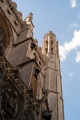Ed -L1006788